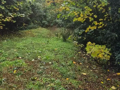 Terreno en Venta, FOS 10