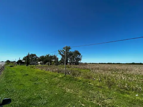 VENTA DE  2,83 HECTAREAS (LOTE 4)