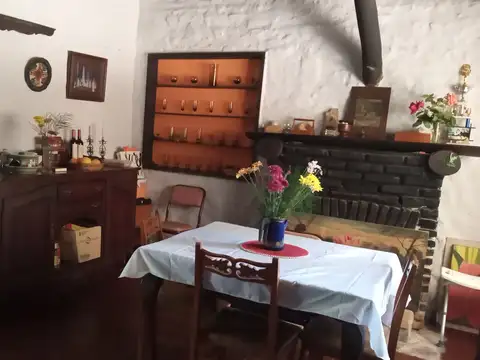CASA QUINTA CON AMPLIO LOTE Y ARBOLEDA