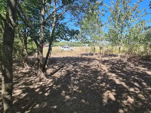 Terreno en Venta en Ignacio Correas Arana, USD 29.000