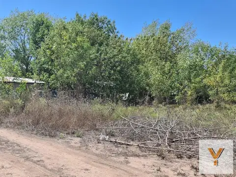 Terreno en Venta de 550,0 m2