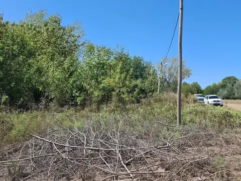 Terreno en venta - 550Mts2 - Ignacio Correas Arana