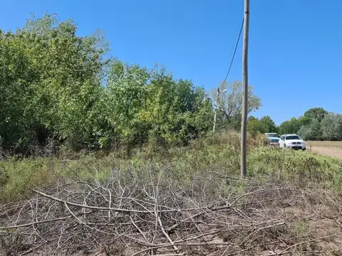 Terreno en venta - 550Mts2 - Ignacio Correas Arana