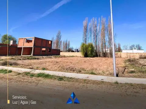 Río Colorado 500