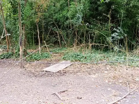 28 e/442 y calle cortada