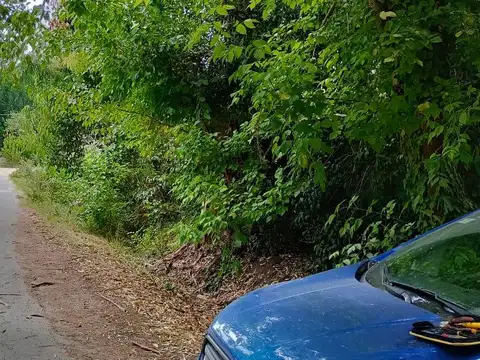 Terreno en Venta 91  mts Fondo