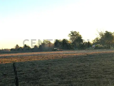 CAMPO EN VENTA | 49 HECTÁREAS PRODUCTIVAS EN MELINCUÉ