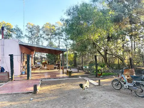 CAMPO EN VENTA | 49 HECTÁREAS PRODUCTIVAS EN MELINCUÉ