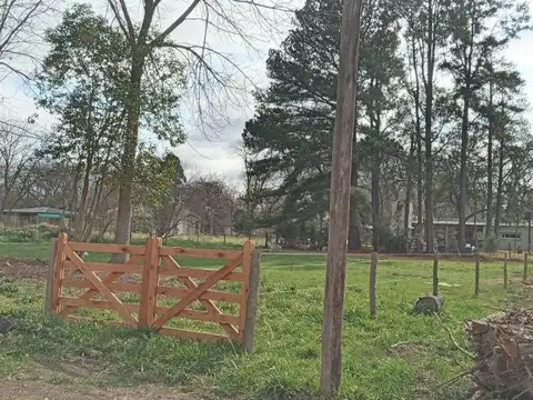 Nueva Zelanda e/ Alemania y Holanda