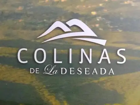 Colinas De La Deseada 100