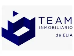 TEAM INMOBILIARIO