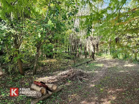 Venta de Quinta con 90 mts de costa sobre Rio Paranacito - Isla 9