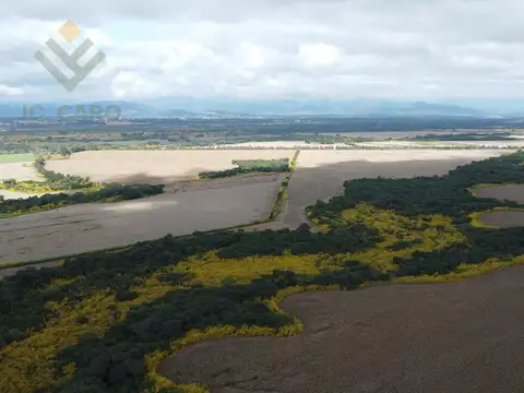Ruta 10