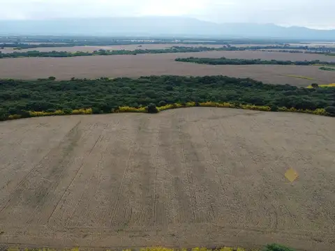 Campo en Venta en El Carmen