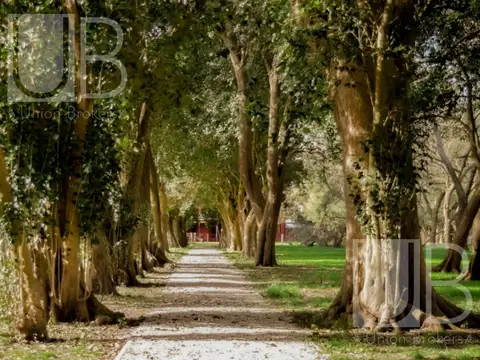 Terreno en Venta en Samborombon, USD 10.000