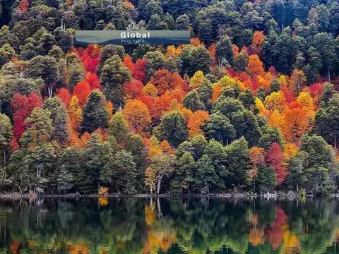 EXCELENTE CAMPO RUTA SIETE LAGOS, SAN MARTÍN DE LOS ANDES PATAGONIA ARGENTINA