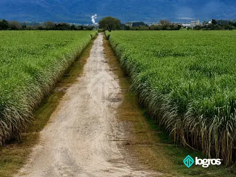 Aguas Blancas, Oran 100