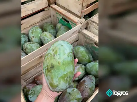 Campo en venta de 44 has. | Aguas Blancas | Oran | Salta