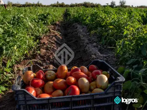 Campo en venta de 44 has. | Aguas Blancas | Oran | Salta