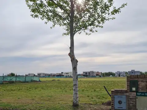 Terreno en venta - 1150mts2 - Haras del Sur III - La Plata