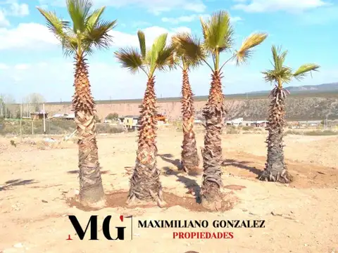 Terreno en Venta de 500,0 m2