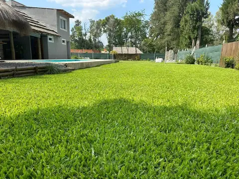 Aimé Tschiffeli 3200