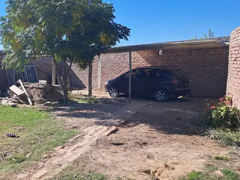 nueva 100