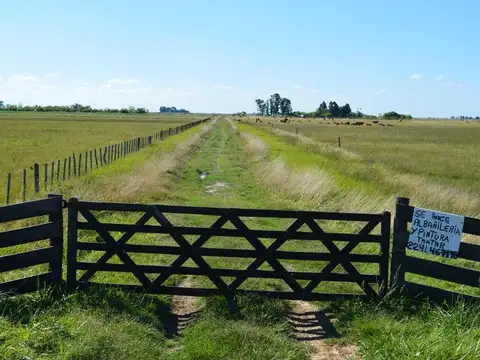Campo en venta en Magdalena