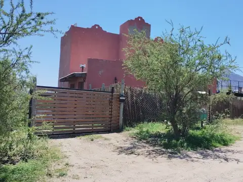Río Limay 300