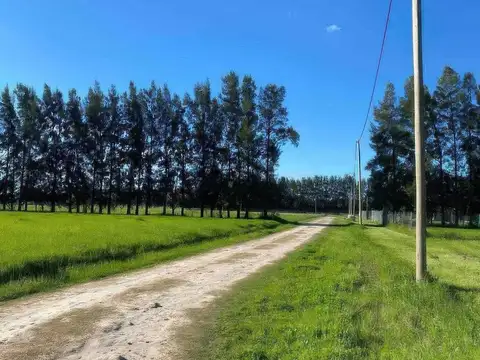 Terrenos en venta - 1118mts2 a 1475mts2 - Barrio Fincas de Lima, Zarate