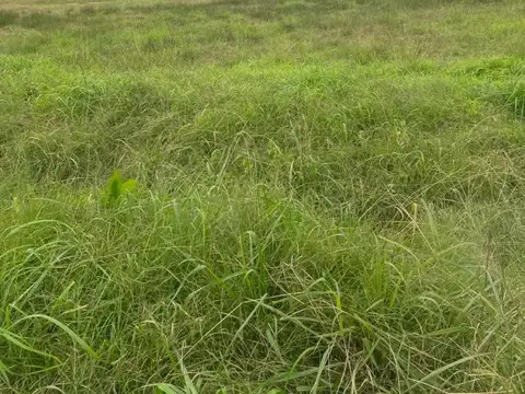 Lote en Fco Alvarez  OPORTUNIDAD