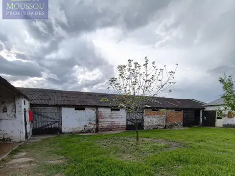 Maestra Piaggio casi Bvd de Maria 0