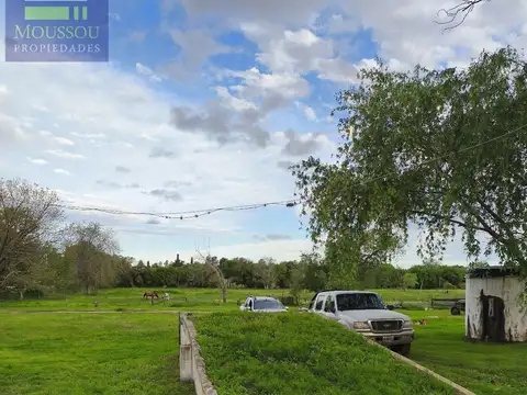 Chacra - Gualeguaychu