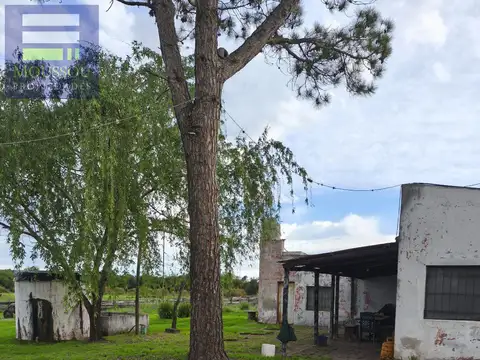 Chacra - Gualeguaychu