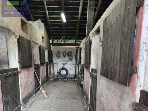 Maestra Piaggio casi Bvd de Maria 0