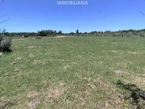 Terreno en Venta 50  mts Frente