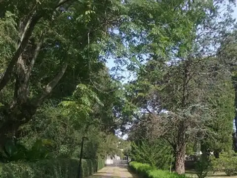 GRAN QUINTA CON PISCINA, QUINCHO Y PARRILLA EN SOURIGUES U$S 295000.-