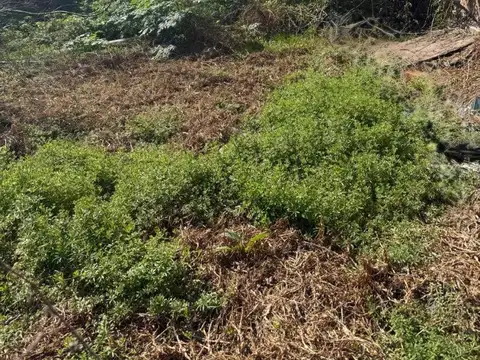 Terreno en Venta en Ituzaingo Norte, USD 90.000