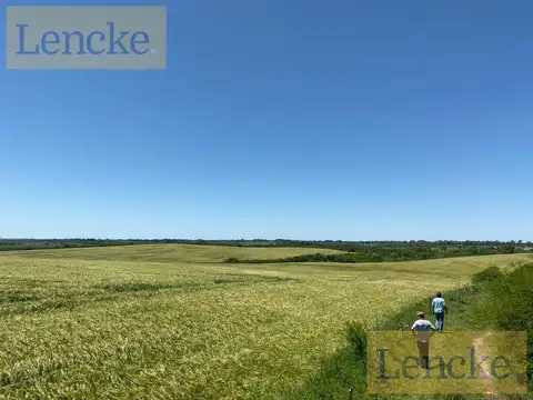 Campo en Zagarzazu