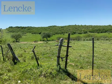 Campo en Zagarzazu