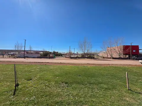 Ruta 6 100