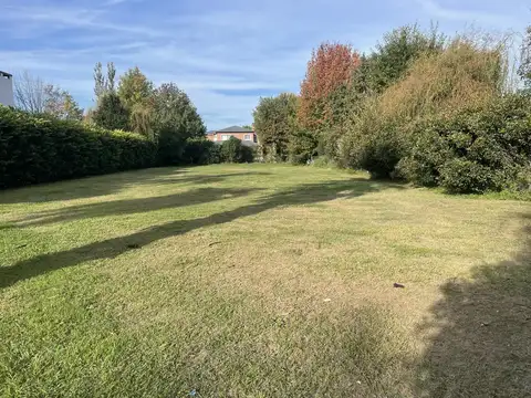 Terreno en Venta 20  mts Frente