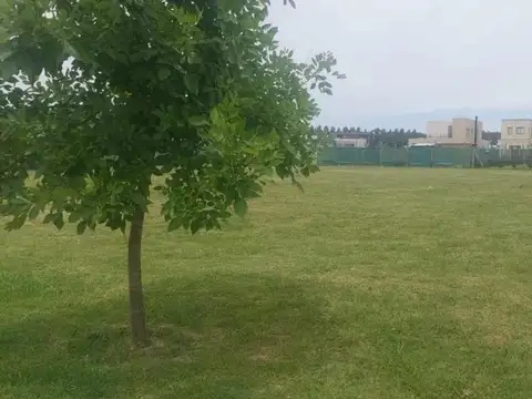 Terreno en Venta de 600,0 m2