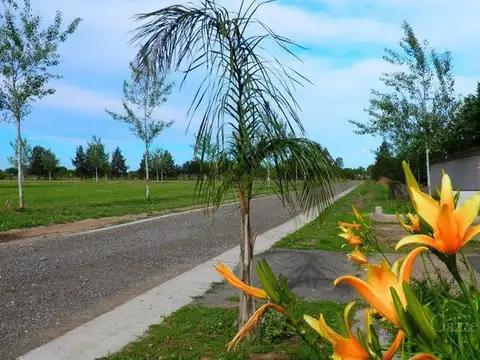 Terreno en Venta en Rosario - AO 12 y RUTA 18