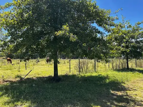 Terreno en Venta en Carlos Keen, USD 280.000