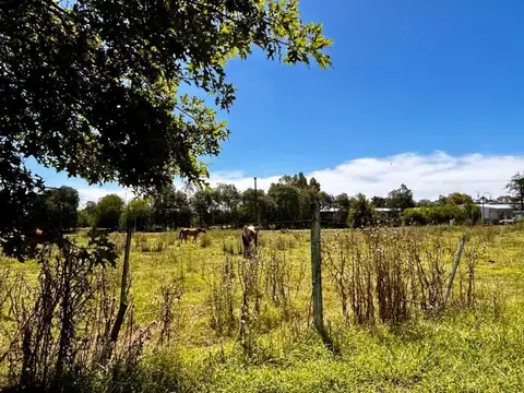 Terreno en Venta de 5922,0 m2