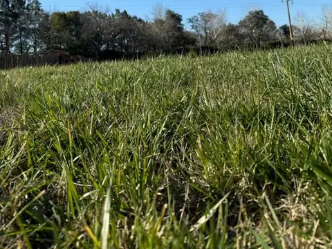 Terreno en Venta en San Antonio de Areco, USD 80.000