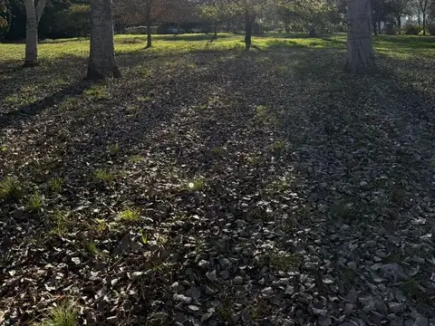 Terreno en Venta de 1000,0 m2