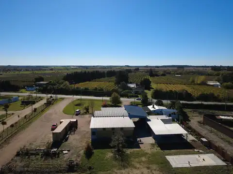 Local en Alquiler en Progreso, $U 120.000