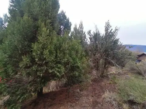 VENTA DE LOTE - LOS RISCOS - SAN MARTIN DE LOS ANDES